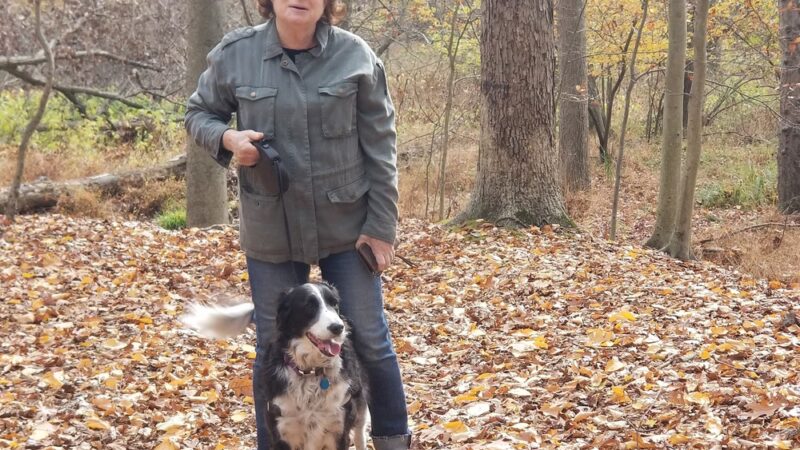 Bonnabel Nature Park - Old Tappan, NJ