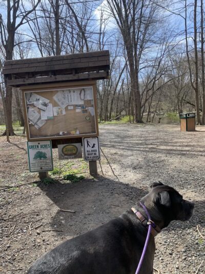 Bonnabel Nature Park - Old Tappan, NJ