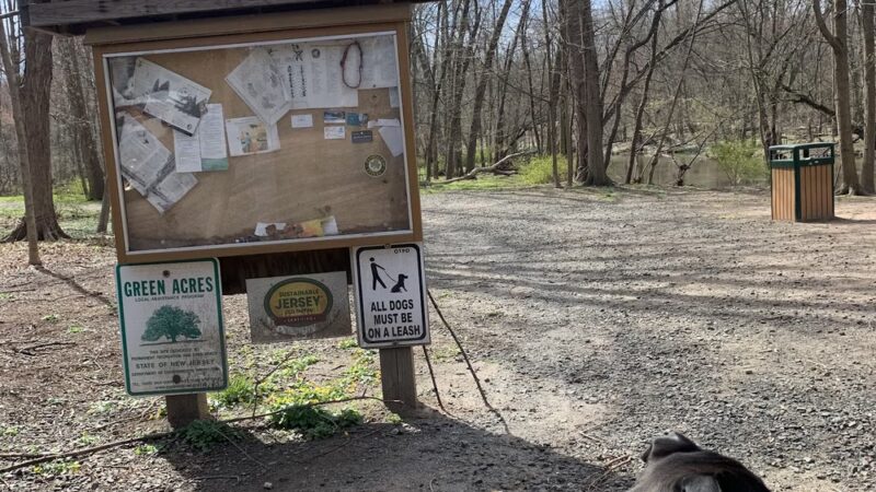 Bonnabel Nature Park - Old Tappan, NJ