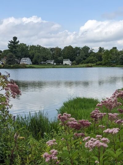 Forness Park - Olean, NY