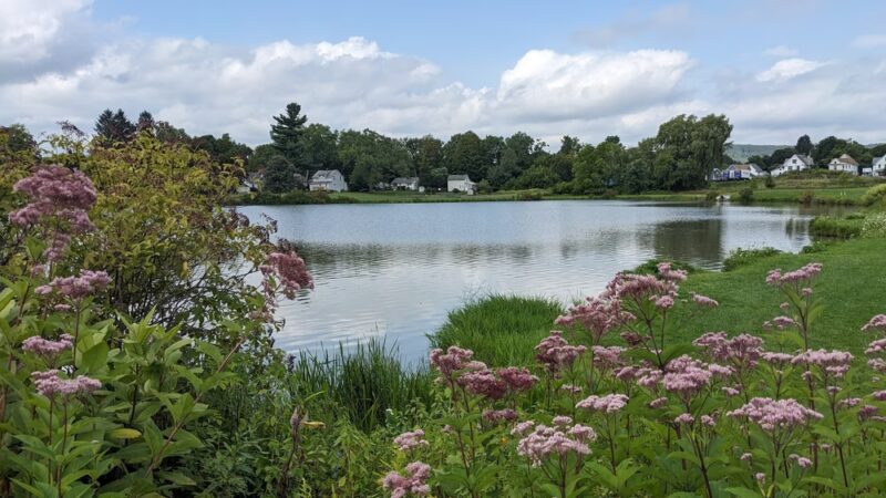 Forness Park - Olean, NY