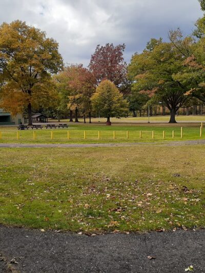 Gargoyle Park - Olean, NY