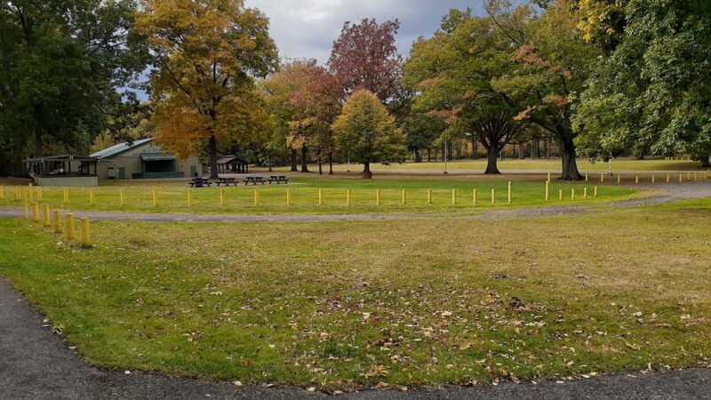 Gargoyle Park - Olean, NY
