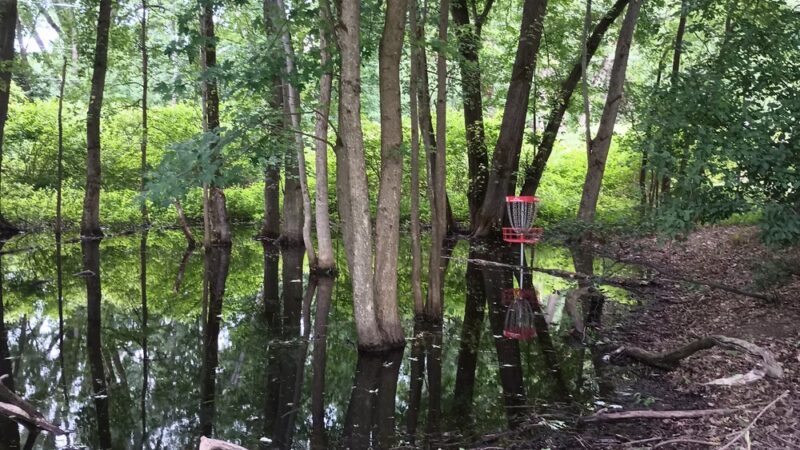 Gargoyle Park - Olean, NY