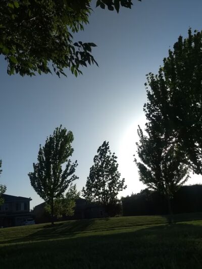 Bear River Park - Olivehurst, CA