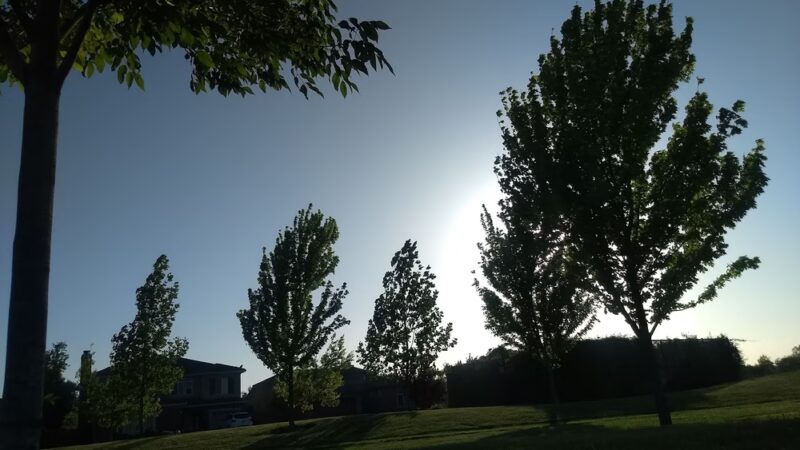 Bear River Park - Olivehurst, CA
