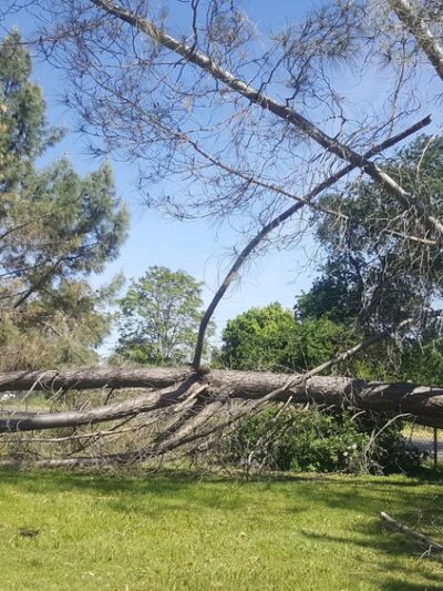 Friendship Park - Olivehurst, CA