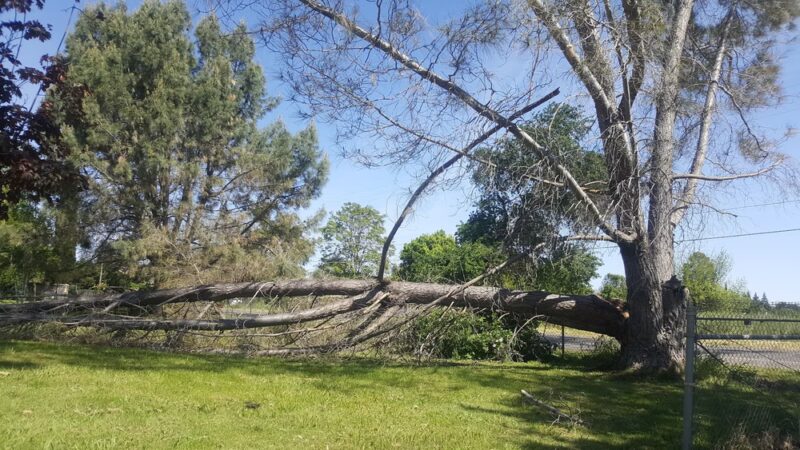 Friendship Park - Olivehurst, CA