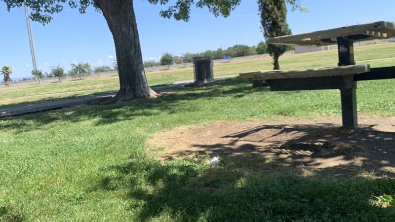 Olivehurst Community Park - Olivehurst, CA