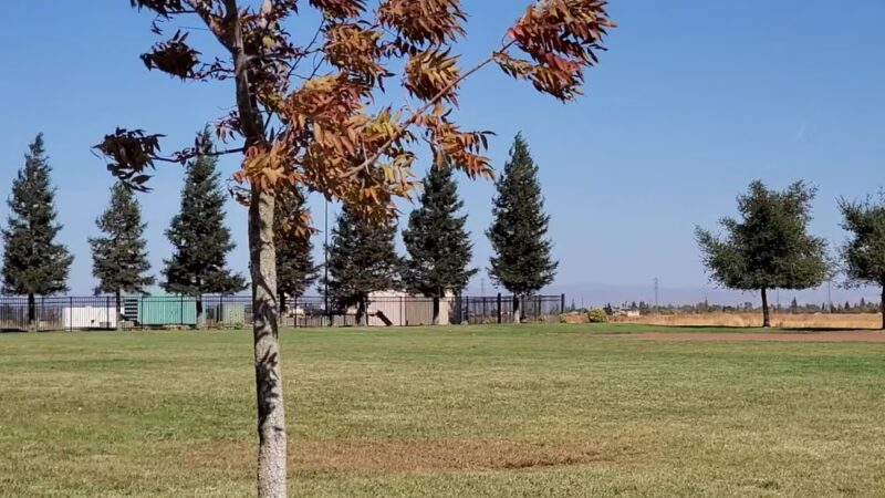 Richard Donahue Park - Olivehurst, CA