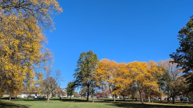 SOCCER PARK - Olympia Fields, IL