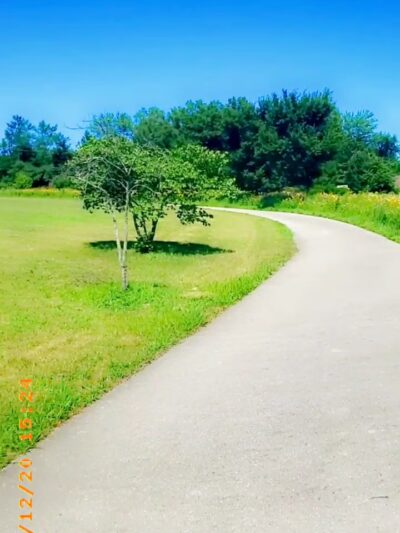 Tolentine Park - Olympia Fields, IL