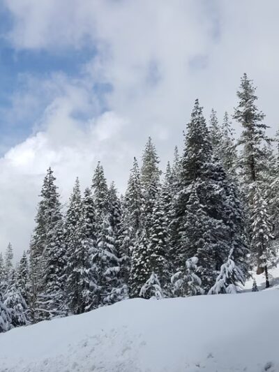 Olympic Valley Park - Olympic Valley, CA