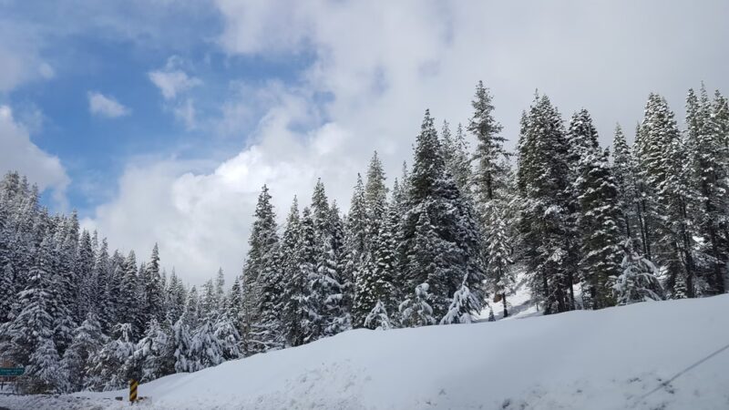 Olympic Valley Park - Olympic Valley, CA
