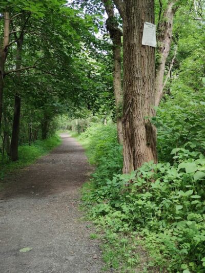 Condella Park - Olyphant, PA