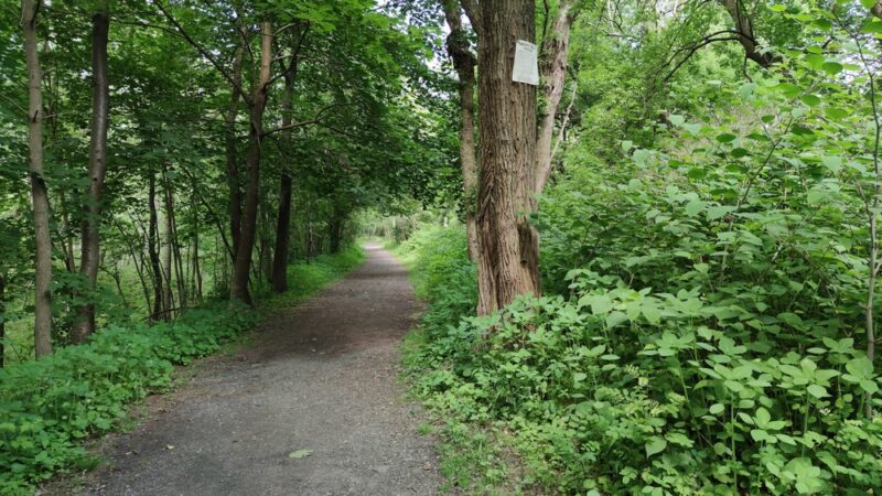 Condella Park - Olyphant, PA