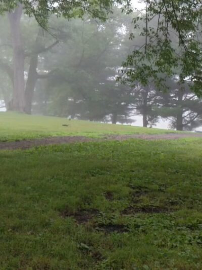 Condella Park - Olyphant, PA