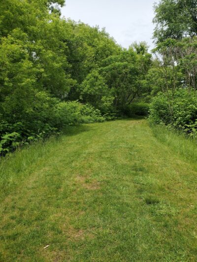Condella Park - Olyphant, PA
