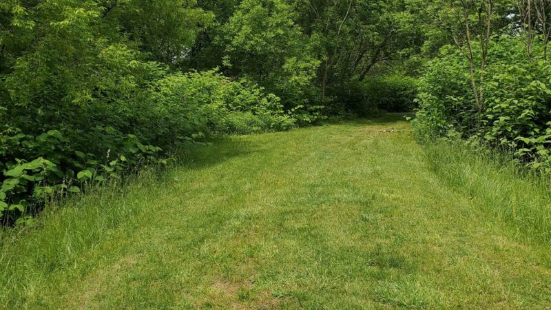 Condella Park - Olyphant, PA
