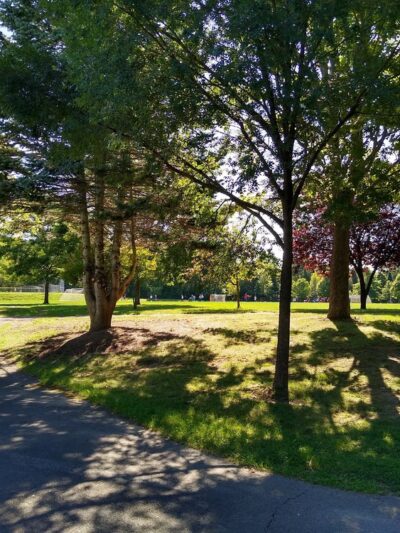 Fern Hill Park - Olyphant, PA