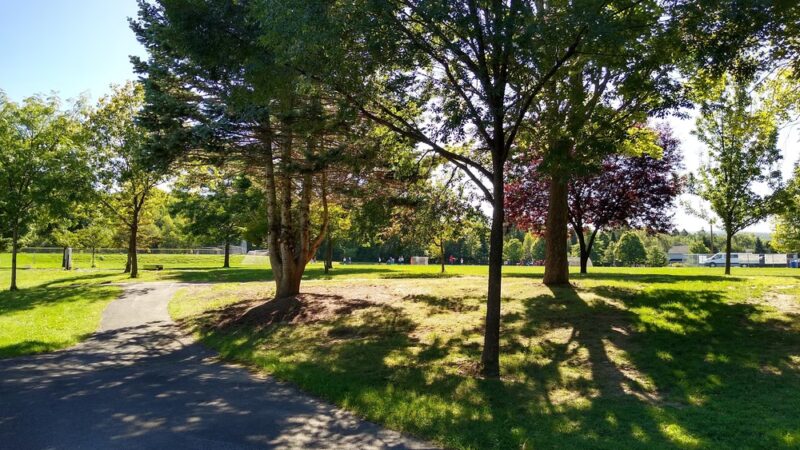 Fern Hill Park - Olyphant, PA