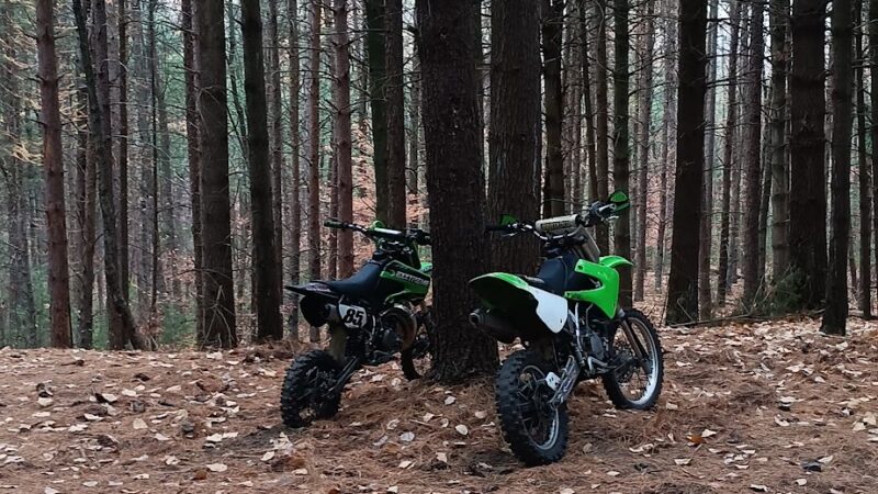 Fern Hill Park - Olyphant, PA