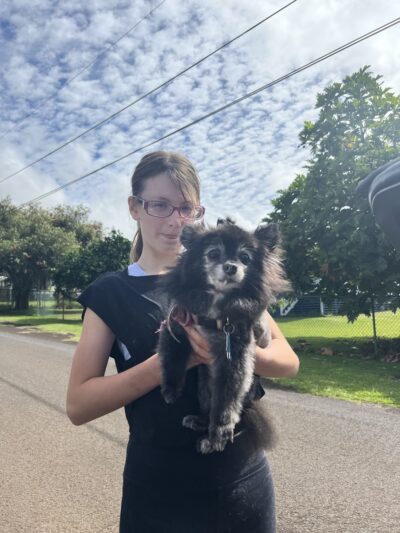 Kauai Pet Boarding & Grooming - Omao, HI