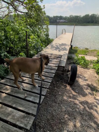 Onawa / Blue Lake KOA Holiday - Onawa, IA