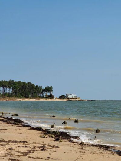 Bethel Beach Natural Area Preserve - Onemo, VA