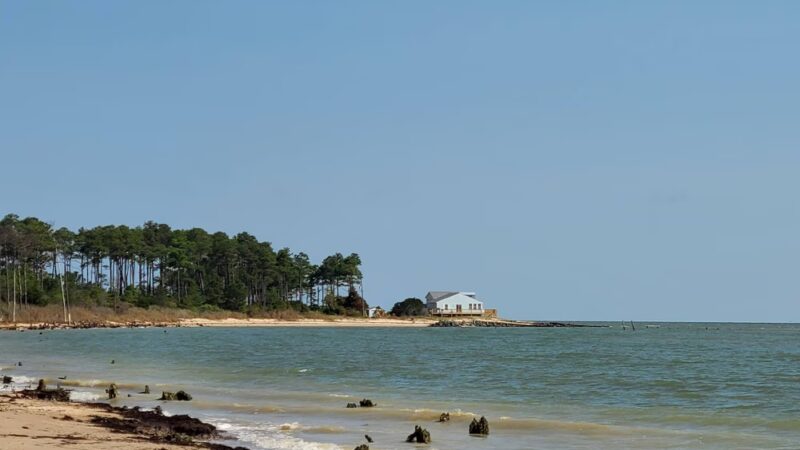 Bethel Beach Natural Area Preserve - Onemo, VA