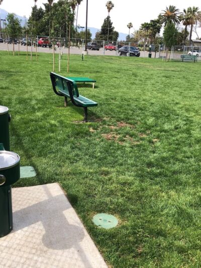 Dog's Park - Ontario, CA