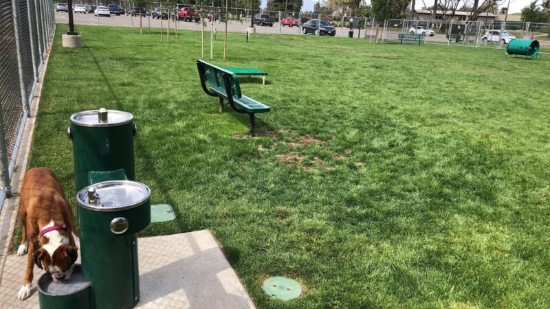 Dog's Park - Ontario, CA