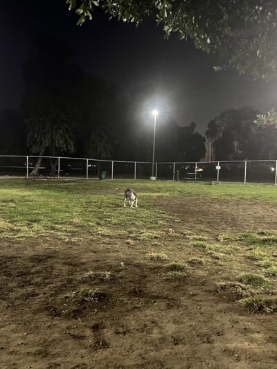 Dog's Park - Ontario, CA