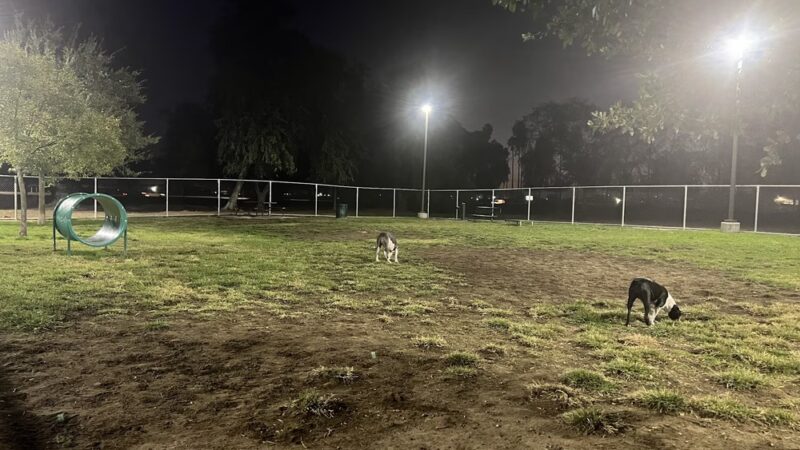 Dog's Park - Ontario, CA