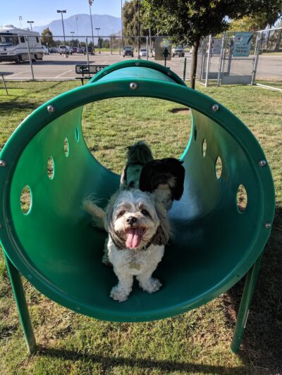 Dog's Park - Ontario, CA