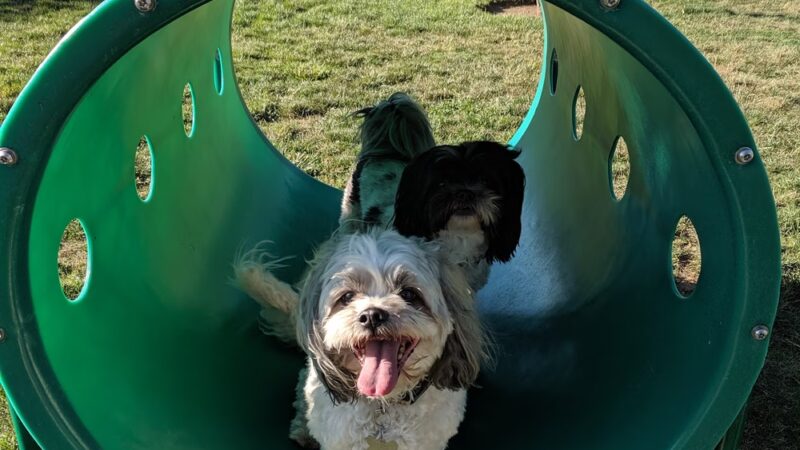 Dog's Park - Ontario, CA