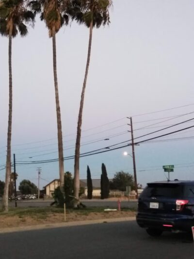 Dog's Park - Ontario, CA