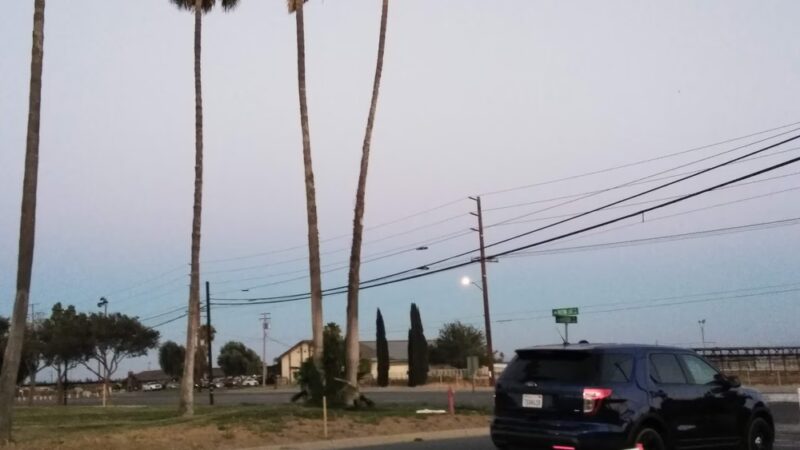 Dog's Park - Ontario, CA