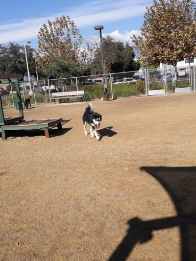 Schimmel Dog Park - Ontario, CA