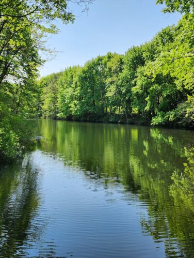 Casey Park - Ontario, NY