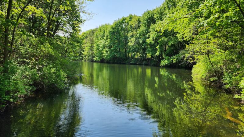 Casey Park - Ontario, NY