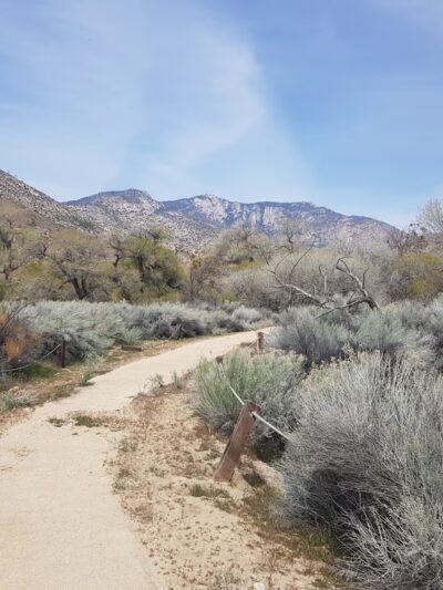 Canebrake Ecological Reserve - Onyx, CA