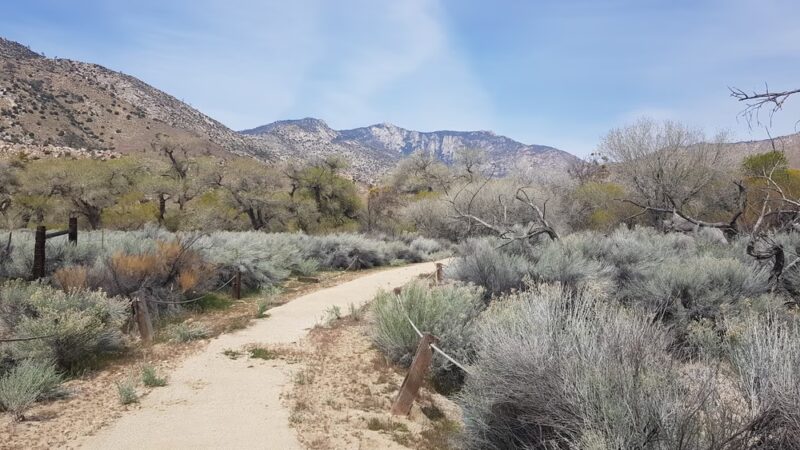 Canebrake Ecological Reserve - Onyx, CA