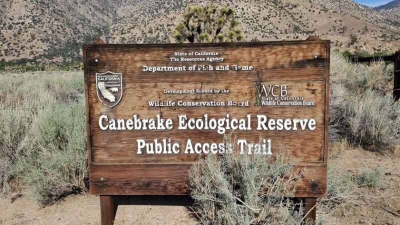 Canebrake Ecological Reserve - Onyx, CA