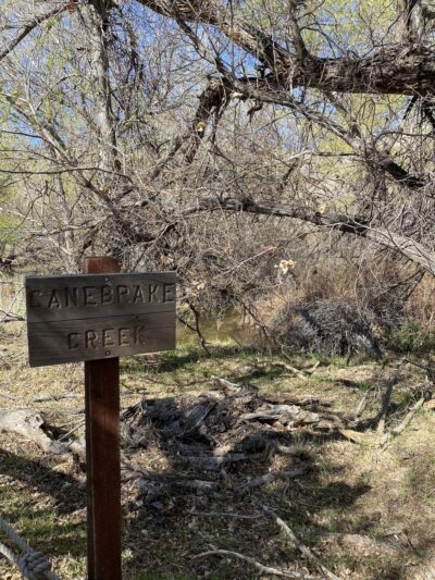 Canebrake Ecological Reserve - Onyx, CA