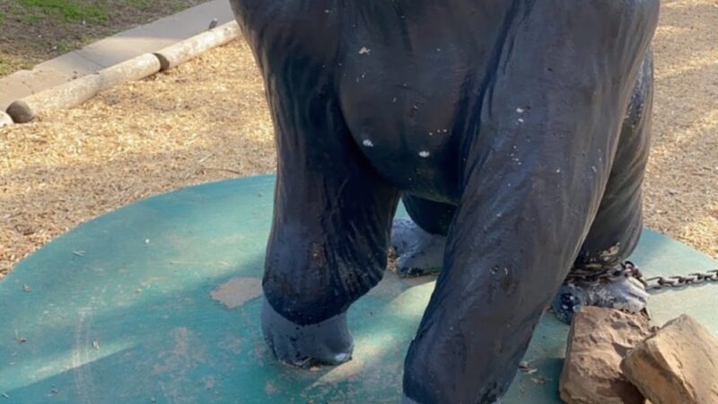 Oologah Park - Oologah, OK