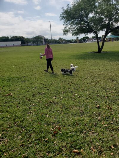 Acadia Park - Opa-locka, FL