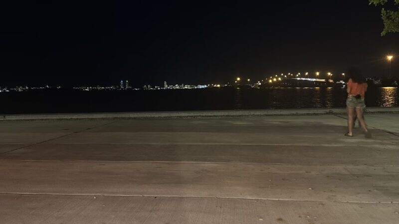 Magnolia Park - Opa-locka, FL