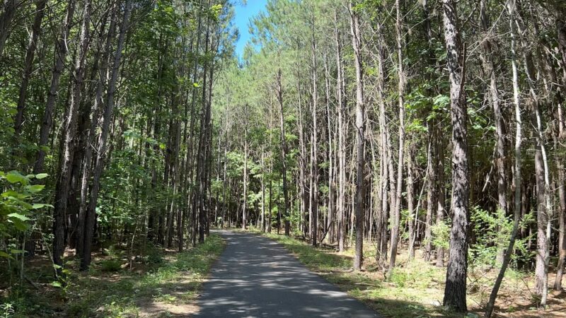 Trailhead, Creek line Trail - Opelika, AL