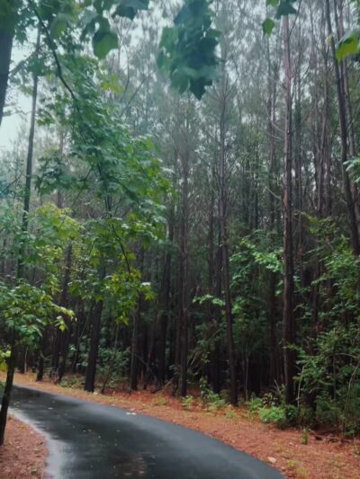 Trailhead, Creek line Trail - Opelika, AL